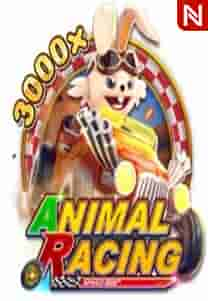 ANIMAL RACING